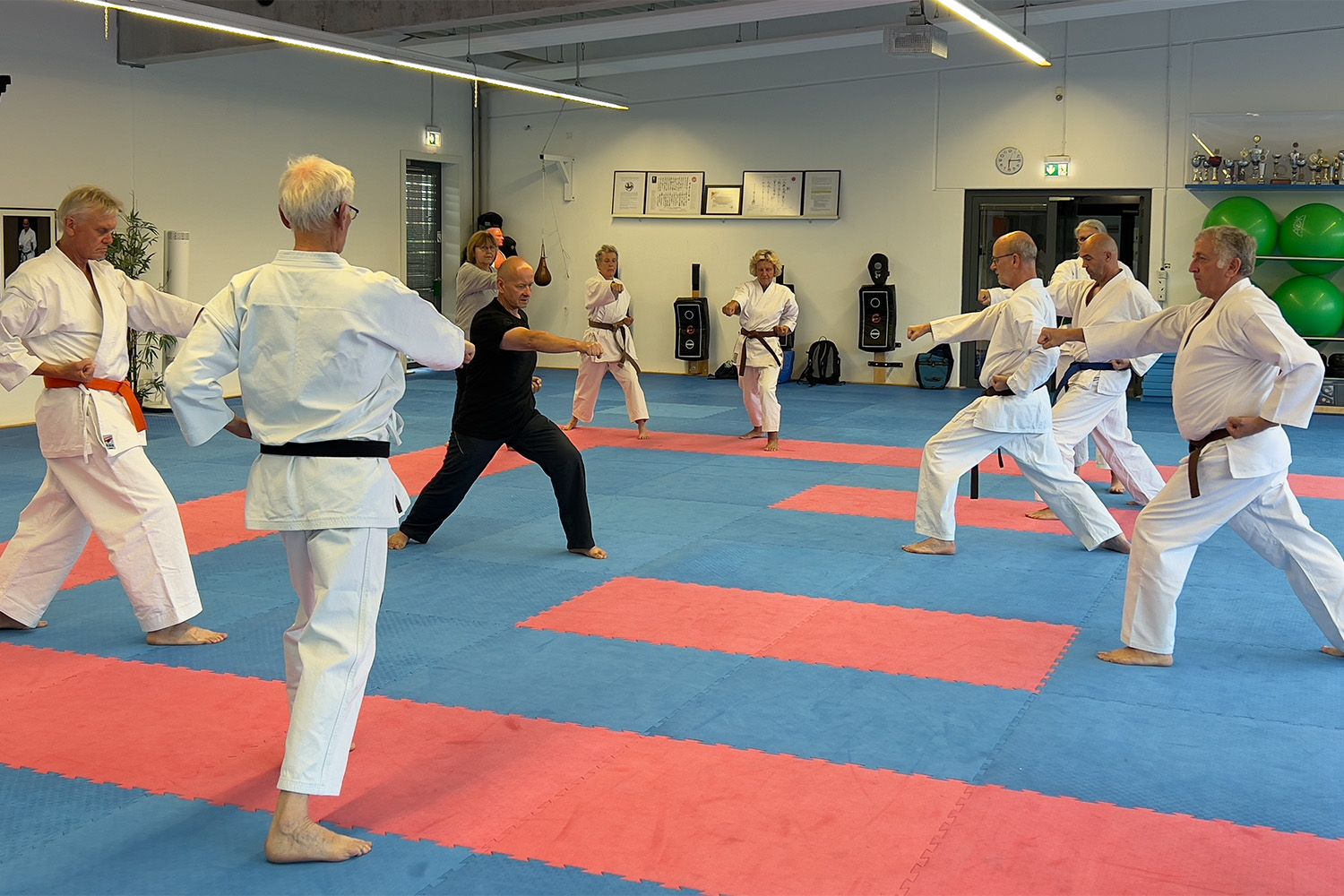 Einsteigerkurs Karate 50+